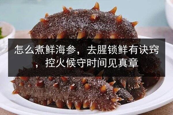 怎么煮鲜海参，去腥锁鲜有诀窍，控火候守时间见真章