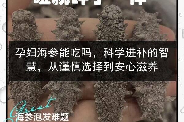 孕妇海参能吃吗,科学进补的智慧,从谨慎选择到安心滋养