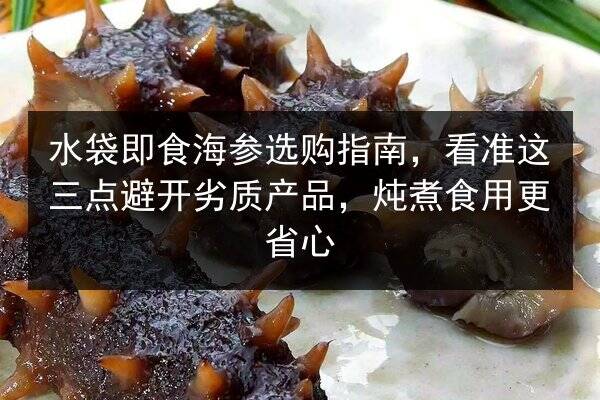 水袋即食海参选购指南，看准这三点避开劣质产品，炖煮食用更省心