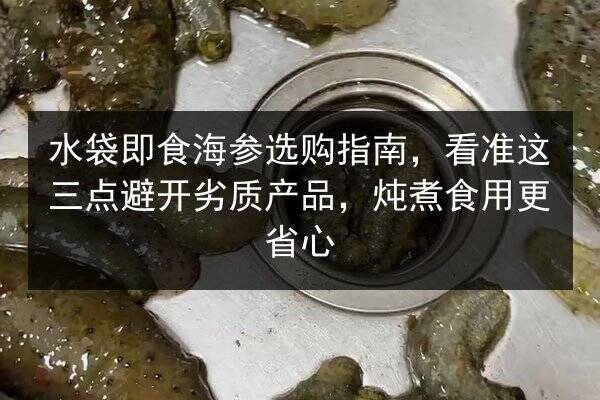水袋即食海参选购指南，看准这三点避开劣质产品，炖煮食用更省心