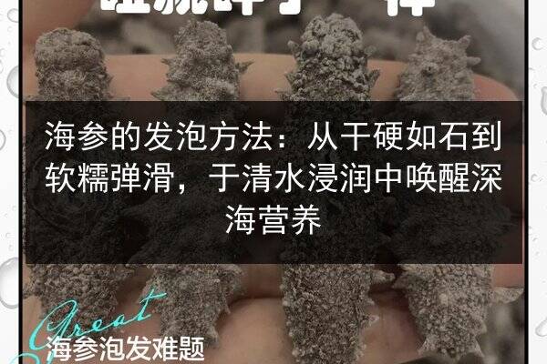 海参的发泡方法:从干硬如石到软糯弹滑,于清水浸润中唤醒深海营养