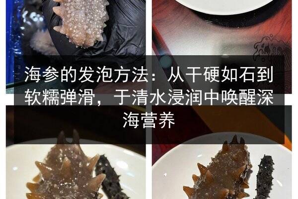 海参的发泡方法:从干硬如石到软糯弹滑,于清水浸润中唤醒深海营养