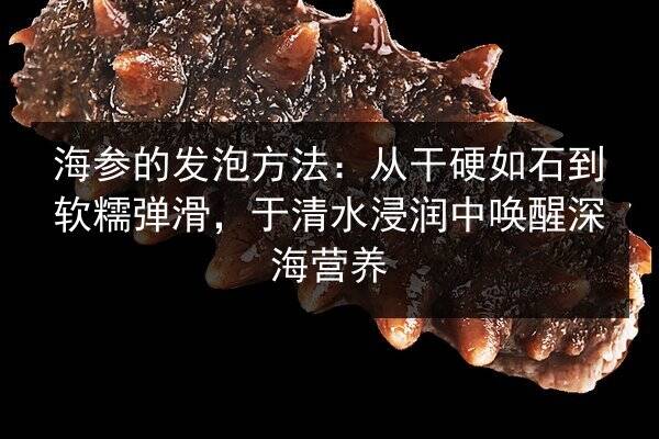 海参的发泡方法:从干硬如石到软糯弹滑,于清水浸润中唤醒深海营养