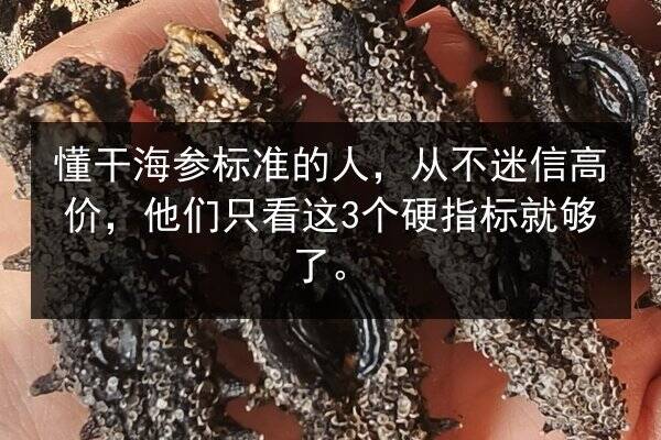 懂干海参标准的人，从不迷信高价，他们只看这3个硬指标就够了。