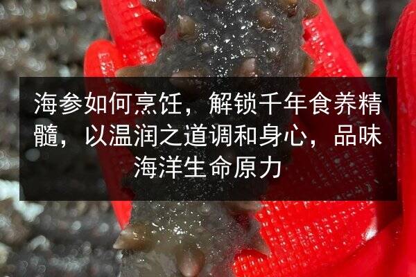 海参如何烹饪，解锁千年食养精髓，以温润之道调和身心，品味海洋生命原力