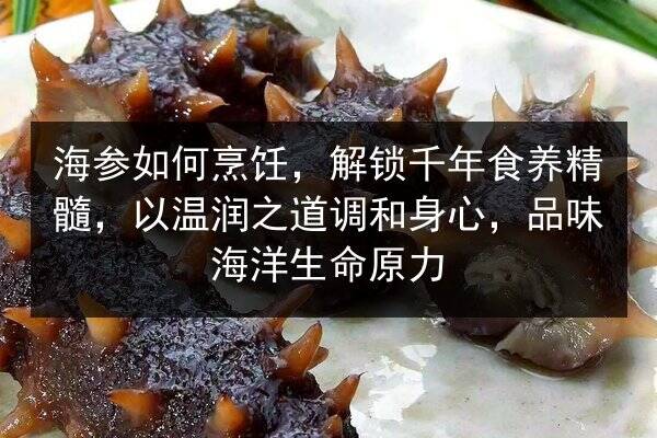 海参如何烹饪，解锁千年食养精髓，以温润之道调和身心，品味海洋生命原力