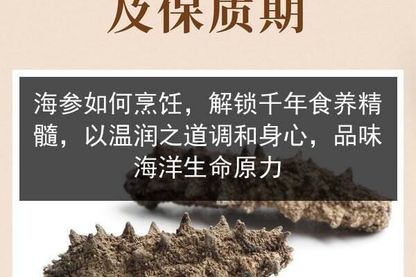 海参如何烹饪，解锁千年食养精髓，以温润之道调和身心，品味海洋生命原力