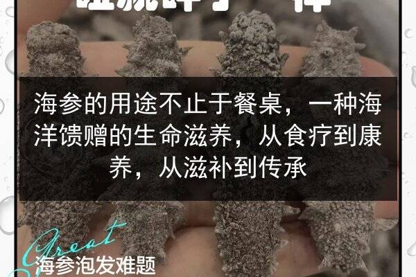 海参的用途不止于餐桌,一种海洋馈赠的生命滋养,从食疗到康养,从滋补到传承