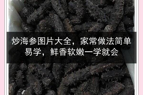 炒海参图片大全，家常做法简单易学，鲜香软嫩一学就会
