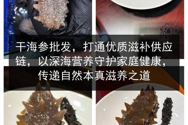 干海参批发，打通优质滋补供应链，以深海营养守护家庭健康，传递自然本真滋养之道