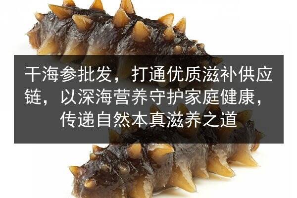 干海参批发，打通优质滋补供应链，以深海营养守护家庭健康，传递自然本真滋养之道