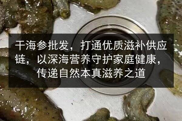 干海参批发，打通优质滋补供应链，以深海营养守护家庭健康，传递自然本真滋养之道