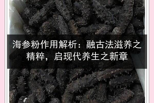 海参粉作用解析：融古法滋养之精粹，启现代养生之新章