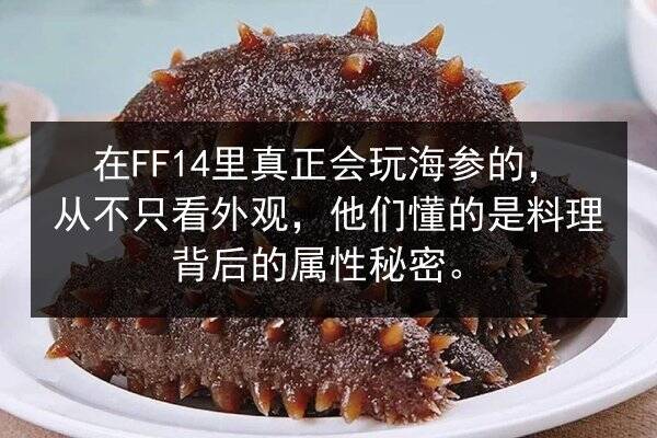 在FF14里真正会玩海参的,从不只看外观,他们懂的是料理背后的属性秘密。