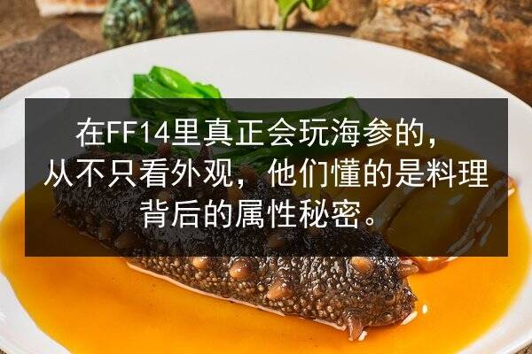 在FF14里真正会玩海参的,从不只看外观,他们懂的是料理背后的属性秘密。