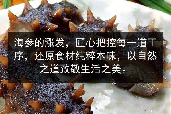海参的涨发,匠心把控每一道工序,还原食材纯粹本味,以自然之道致敬生活之美。