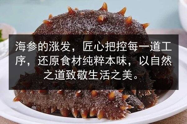 海参的涨发,匠心把控每一道工序,还原食材纯粹本味,以自然之道致敬生活之美。
