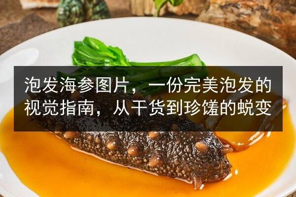 泡发海参图片,一份完美泡发的视觉指南,从干货到珍馐的蜕变