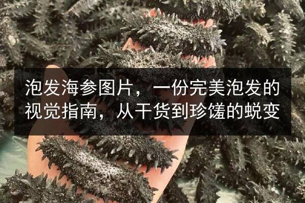 泡发海参图片,一份完美泡发的视觉指南,从干货到珍馐的蜕变