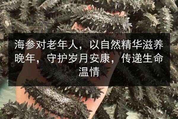 海参对老年人,以自然精华滋养晚年,守护岁月安康,传递生命温情