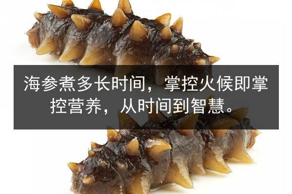 海参煮多长时间，掌控火候即掌控营养，从时间到智慧。