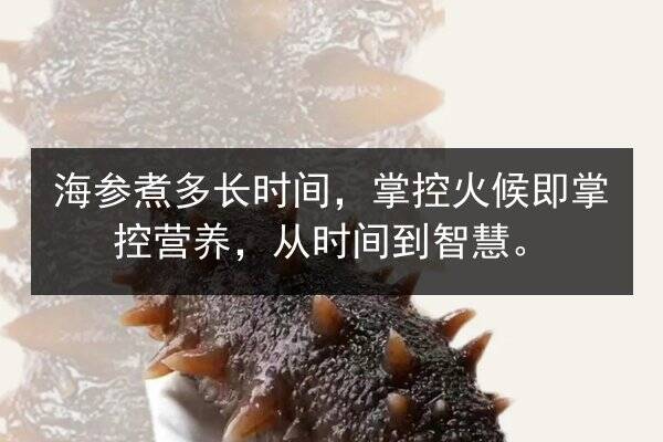 海参煮多长时间，掌控火候即掌控营养，从时间到智慧。