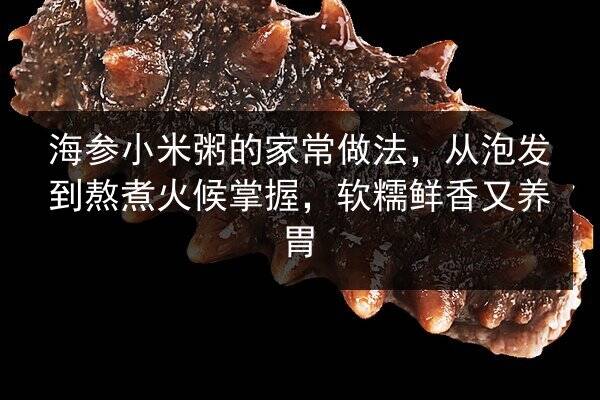 海参小米粥的家常做法，从泡发到熬煮火候掌握，软糯鲜香又养胃