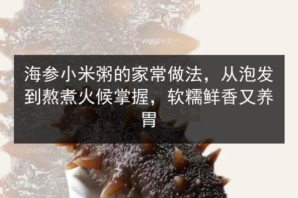海参小米粥的家常做法，从泡发到熬煮火候掌握，软糯鲜香又养胃