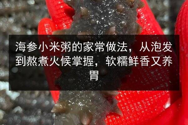海参小米粥的家常做法，从泡发到熬煮火候掌握，软糯鲜香又养胃