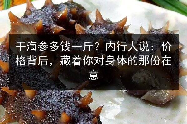 干海参多钱一斤?内行人说:价格背后,藏着你对身体的那份在意