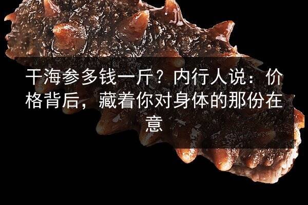 干海参多钱一斤?内行人说:价格背后,藏着你对身体的那份在意
