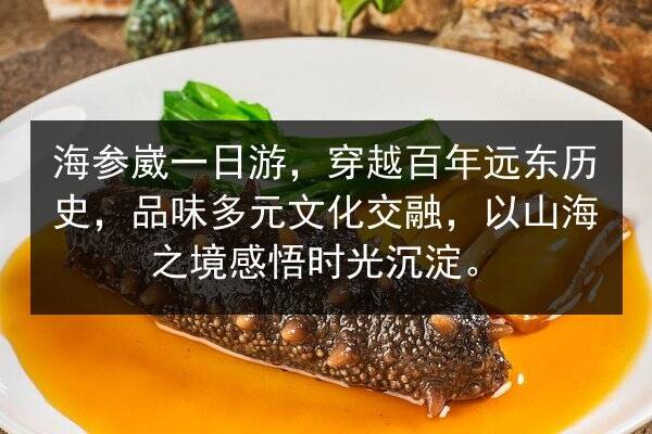海参崴一日游，穿越百年远东历史，品味多元文化交融，以山海之境感悟时光沉淀。