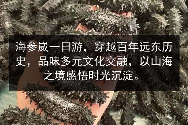 海参崴一日游，穿越百年远东历史，品味多元文化交融，以山海之境感悟时光沉淀。