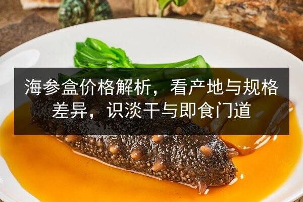 海参盒价格解析，看产地与规格差异，识淡干与即食门道