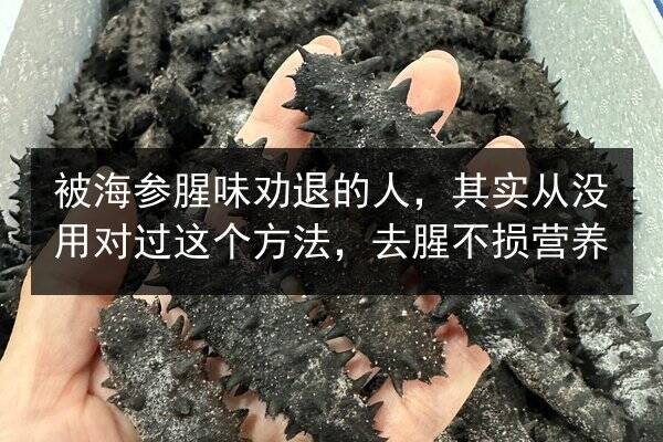 被海参腥味劝退的人，其实从没用对过这个方法，去腥不损营养
