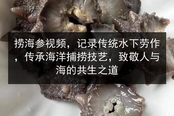 捞海参视频，记录传统水下劳作，传承海洋捕捞技艺，致敬人与海的共生之道