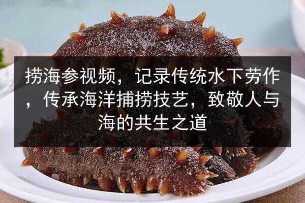捞海参视频，记录传统水下劳作，传承海洋捕捞技艺，致敬人与海的共生之道