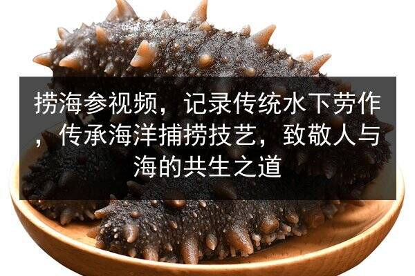 捞海参视频，记录传统水下劳作，传承海洋捕捞技艺，致敬人与海的共生之道