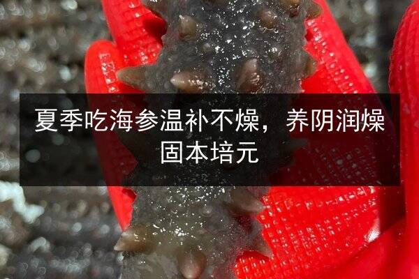 夏季吃海参温补不燥,养阴润燥固本培元