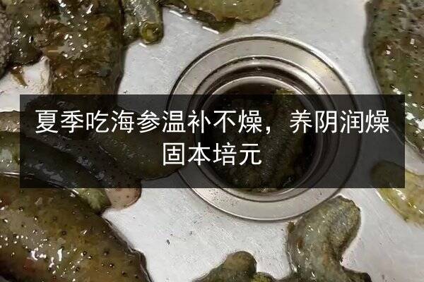夏季吃海参温补不燥,养阴润燥固本培元