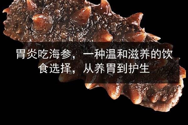 胃炎吃海参,一种温和滋养的饮食选择,从养胃到护生
