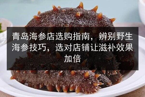 青岛海参店选购指南，辨别野生海参技巧，选对店铺让滋补效果加倍