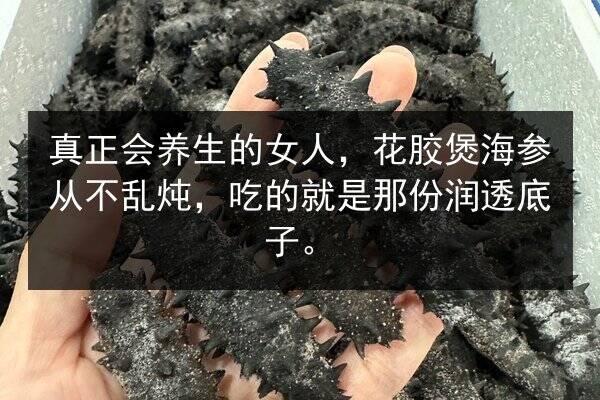 真正会养生的女人,花胶煲海参从不乱炖,吃的就是那份润透底子。