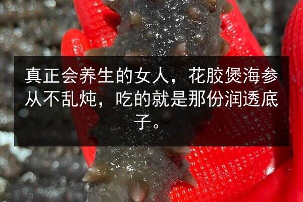 真正会养生的女人,花胶煲海参从不乱炖,吃的就是那份润透底子。