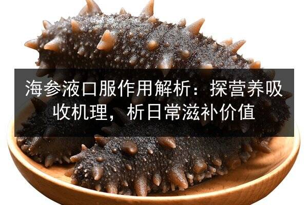 海参液口服作用解析:探营养吸收机理,析日常滋补价值