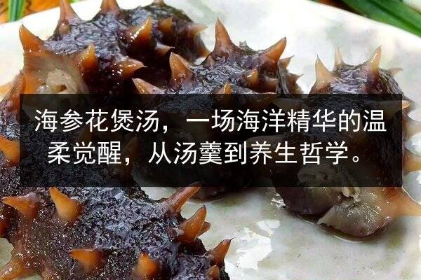 海参花煲汤，一场海洋精华的温柔觉醒，从汤羹到养生哲学。