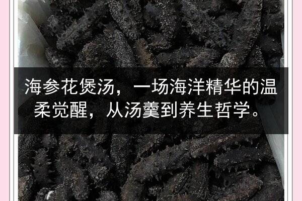 海参花煲汤，一场海洋精华的温柔觉醒，从汤羹到养生哲学。
