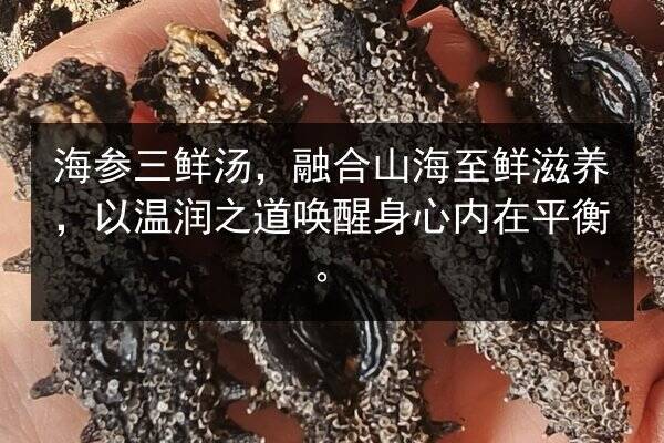 海参三鲜汤,融合山海至鲜滋养,以温润之道唤醒身心内在平衡。