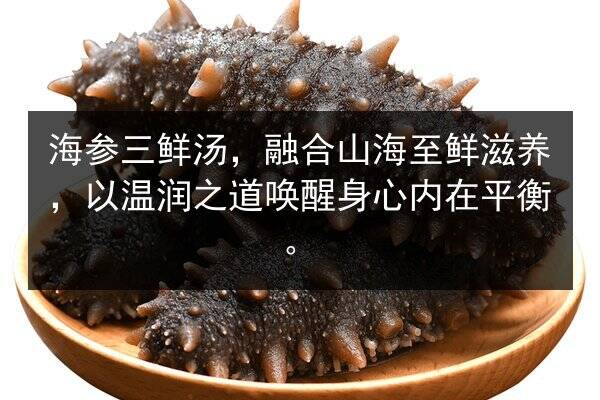 海参三鲜汤,融合山海至鲜滋养,以温润之道唤醒身心内在平衡。