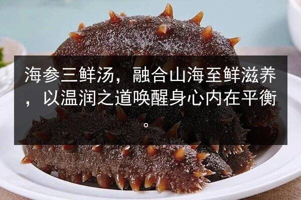 海参三鲜汤,融合山海至鲜滋养,以温润之道唤醒身心内在平衡。